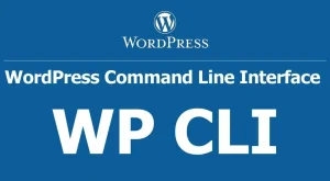 Запись задания cron для выполнения через WP-CLI