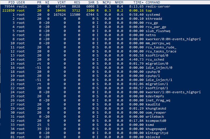 Нагрузка на сервер, как посмотреть на VPS